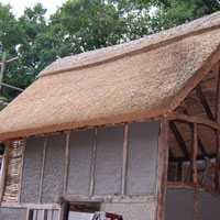Squatter's Cottage
